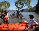 palawan philippinen